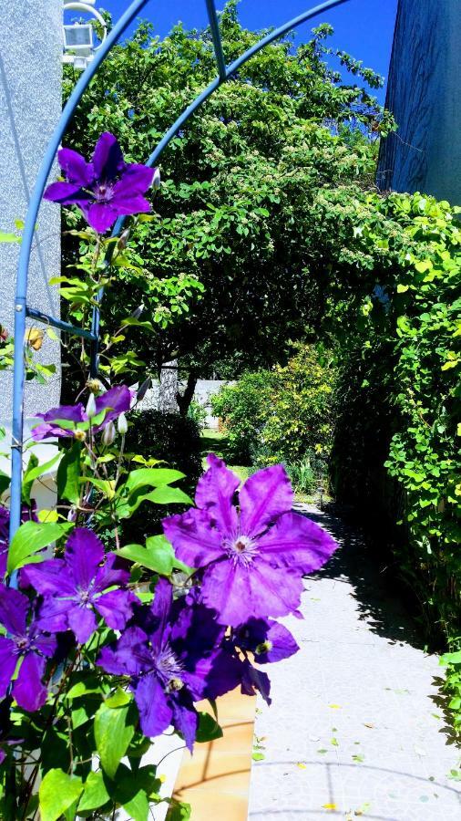 Chambre Avec Jardin Pierre Curie Bry-sur-Marne Kültér fotó